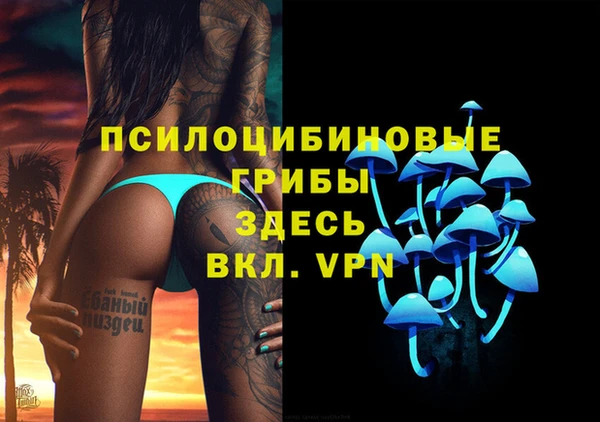 spice Абаза