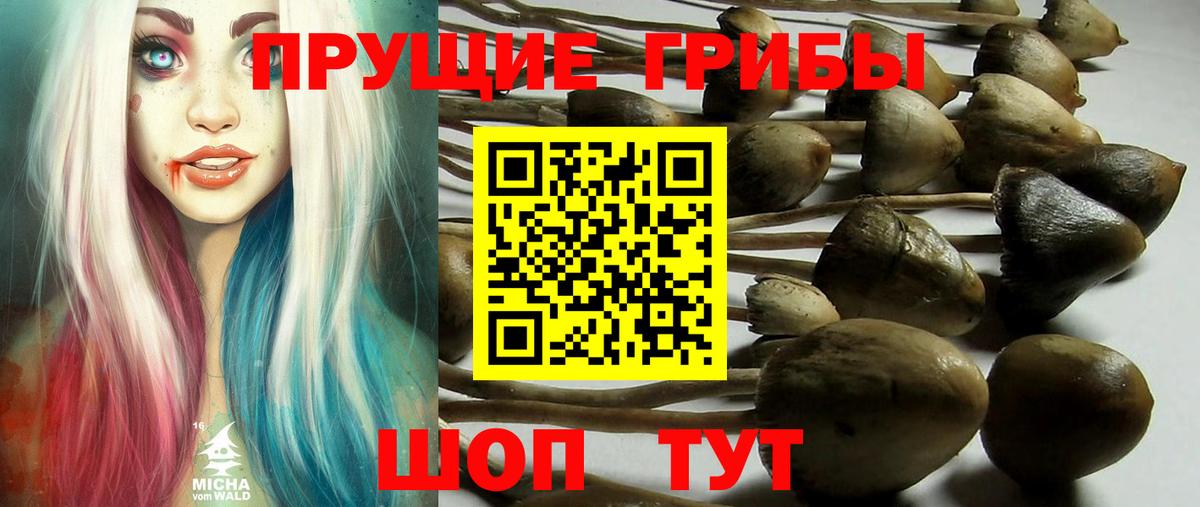 Галлюциногенные грибы Magic Shrooms  Вход с VPN  Волоколамск 